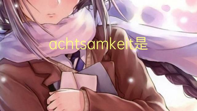 achtsamkeit是什么意思 achtsamkeit的中文翻译、读音、例句