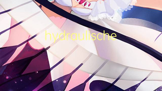 hydraulische leitfahigkeit是什么意思 hydraulische leitfahigkeit的中文翻译、