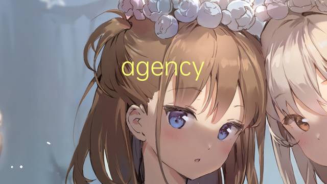 agency bank是什么意思 agency bank的中文翻译、读音、例句