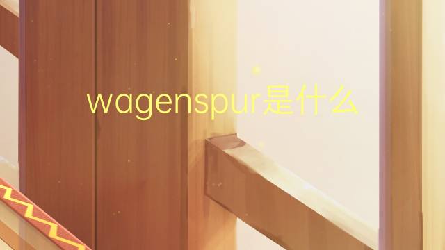 wagenspur是什么意思 wagenspur的中文翻译、读音、例句