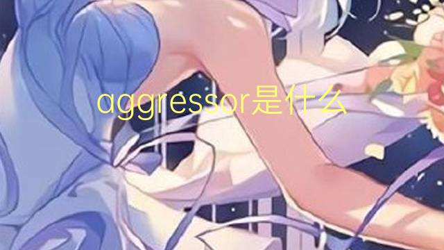 aggressor是什么意思 aggressor的中文翻译、读音、例句