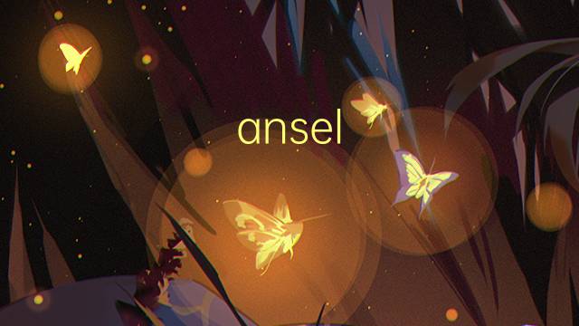 ansel adams是什么意思 ansel adams的中文翻译、读音、例句