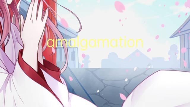 amalgamation是什么意思 amalgamation的中文翻译、读音、例句