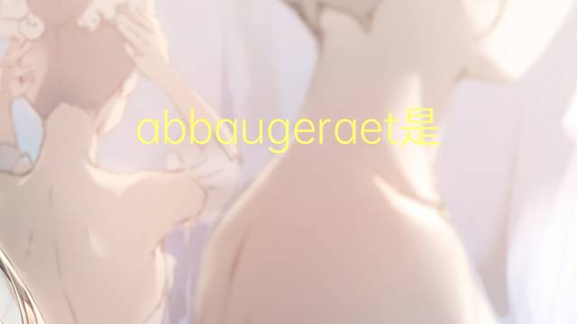 abbaugeraet是什么意思 abbaugeraet的中文翻译、读音、例句