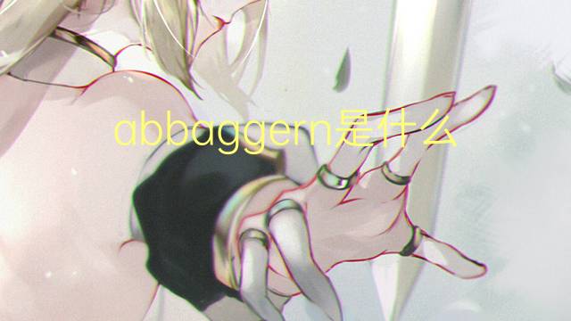 abbaggern是什么意思 abbaggern的中文翻译、读音、例句