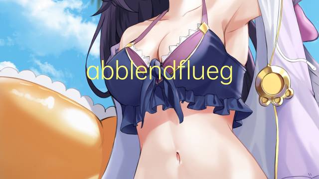 abblendfluegel是什么意思 abblendfluegel的中文翻译、读音、例句