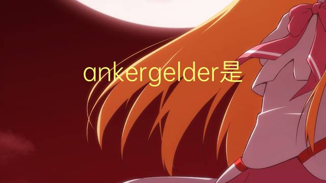 ankergelder是什么意思 ankergelder的中文翻译、读音、例句