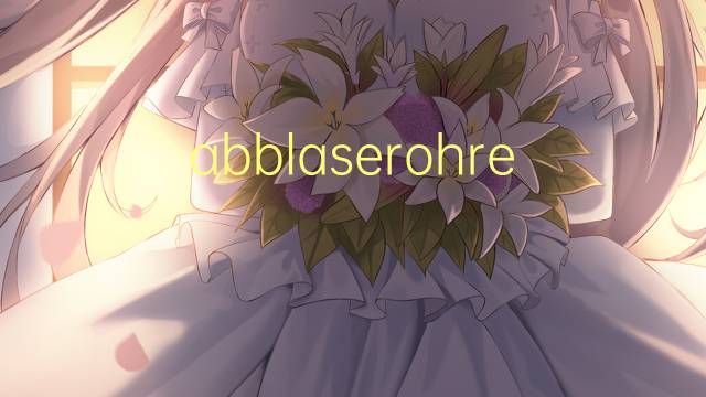 abblaserohre是什么意思 abblaserohre的中文翻译、读音、例句