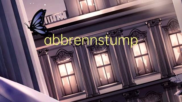 abbrennstumpfschweissmaschine是什么意思 abbrennstumpfschweissmaschine