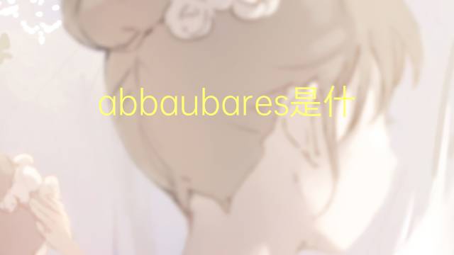 abbaubares是什么意思 abbaubares的中文翻译、读音、例句