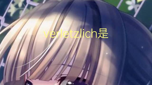 verletzlich是什么意思 verletzlich的中文翻译、读音、例句