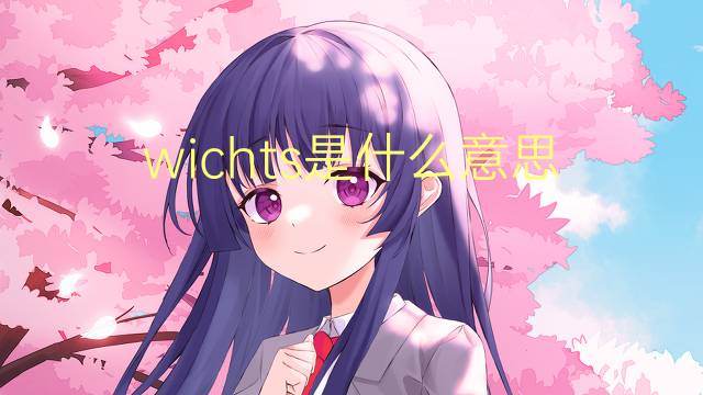 wichts是什么意思 wichts的中文翻译、读音、例句