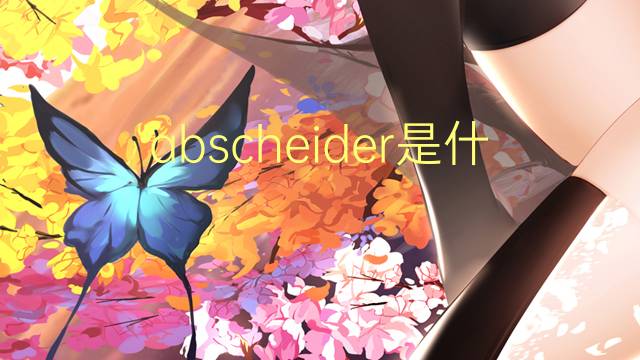 abscheider是什么意思 abscheider的中文翻译、读音、例句