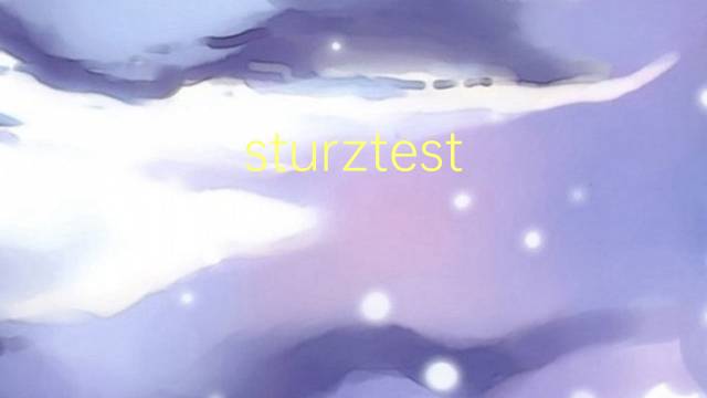 sturztest hinaus是什么意思 sturztest hinaus的中文翻译、读音、例句