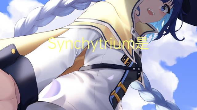 Synchytrium是什么意思 Synchytrium的读音、翻译、用法