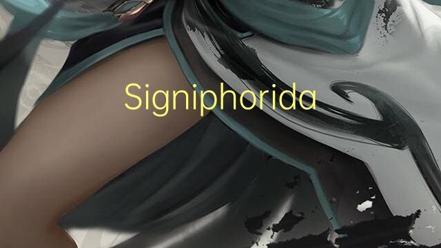 Signiphoridae是什么意思 Signiphoridae的读音、翻译、用法