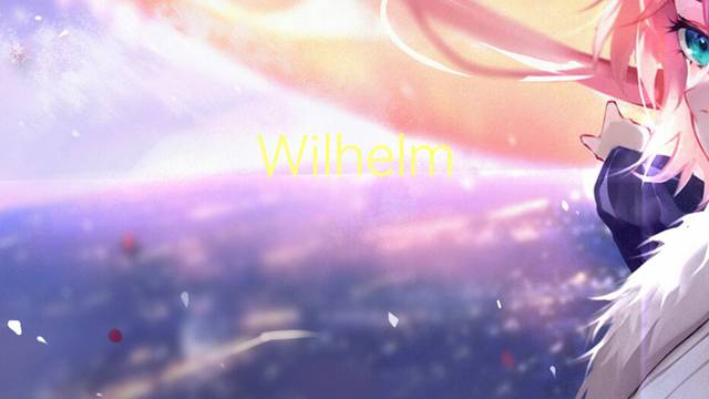 Wilhelm Wien是什么意思 Wilhelm Wien的读音、翻译、用法