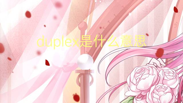 duplex是什么意思 duplex的读音、翻译、用法