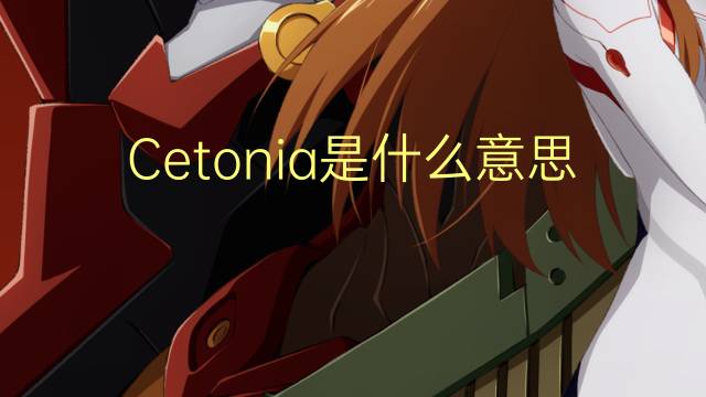 Cetonia是什么意思 Cetonia的读音、翻译、用法