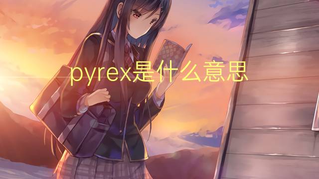 pyrex是什么意思 pyrex的读音、翻译、用法