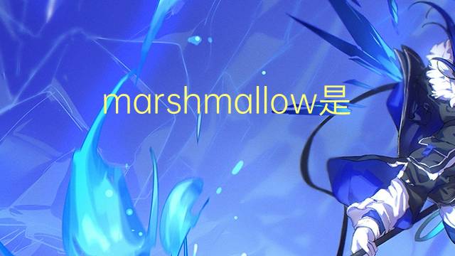 marshmallow是什么意思 marshmallow的读音、翻译、用法