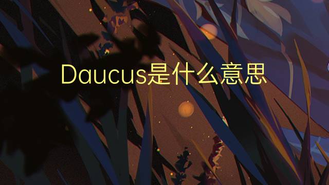 Daucus是什么意思 Daucus的读音、翻译、用法