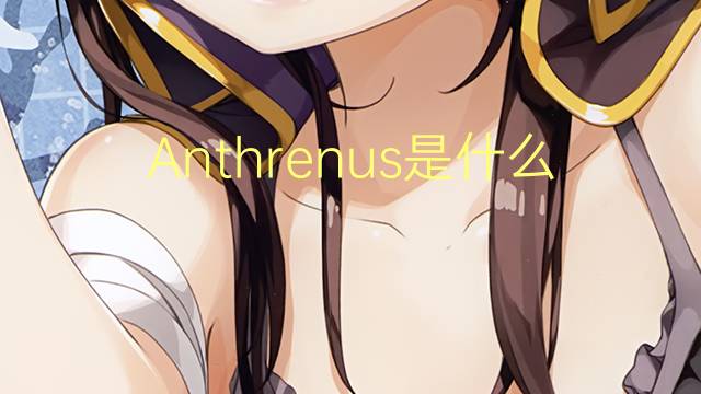 Anthrenus是什么意思 Anthrenus的读音、翻译、用法