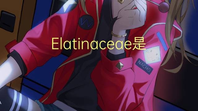 Elatinaceae是什么意思 Elatinaceae的读音、翻译、用法