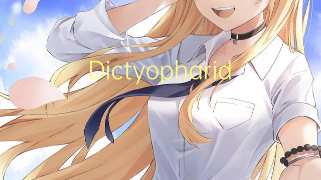 Dictyopharidae是什么意思 Dictyopharidae的读音、翻译、用法