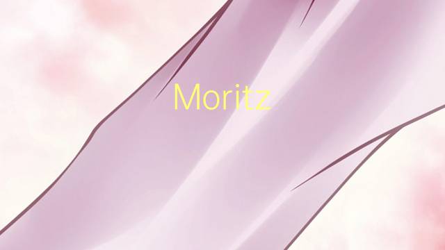 Moritz Schlick是什么意思 Moritz Schlick的读音、翻译、用法