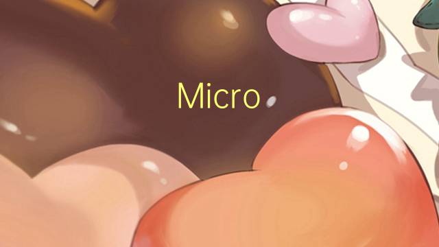 Micro-Star international是什么意思 Micro-Star international的读音、翻译、用法