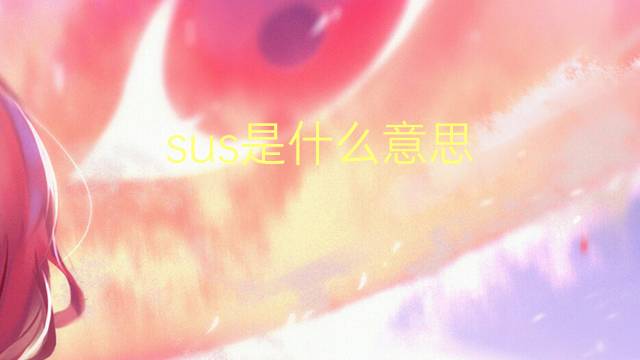 sus是什么意思 sus的读音、翻译、用法