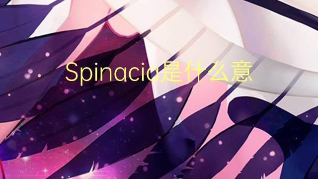 Spinacia是什么意思 Spinacia的读音、翻译、用法
