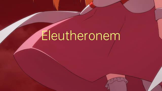 Eleutheronema是什么意思 Eleutheronema的读音、翻译、用法