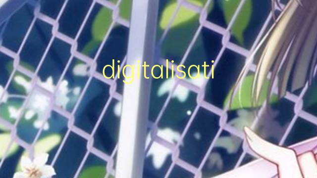 digitalisation是什么意思 digitalisation的读音、翻译、用法