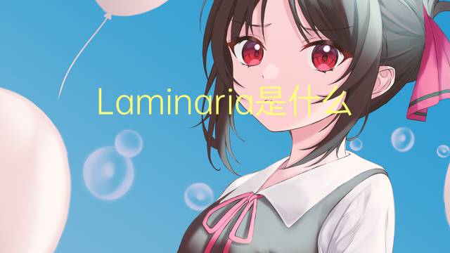 Laminaria是什么意思 Laminaria的读音、翻译、用法