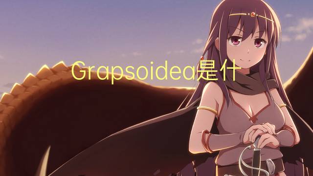 Grapsoidea是什么意思 Grapsoidea的读音、翻译、用法