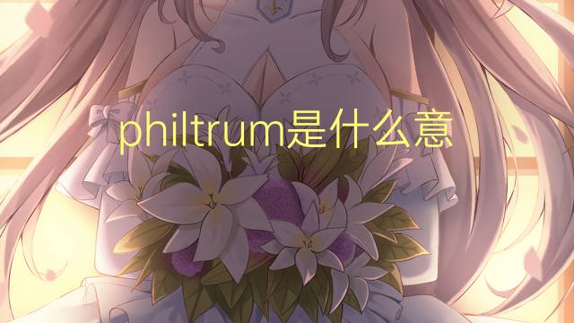 philtrum是什么意思 philtrum的读音、翻译、用法