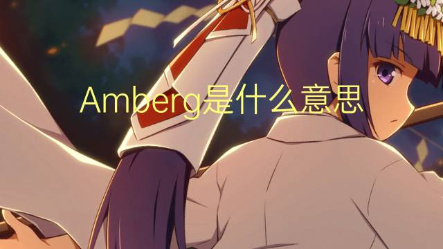 Amberg是什么意思 Amberg的读音、翻译、用法