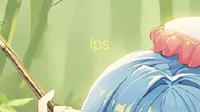 ips paraconfusus是什么意思 ips paraconfusus的读音、翻译、用法