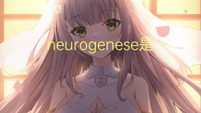 neurogenese是什么意思 neurogenese的读音、翻译、用法