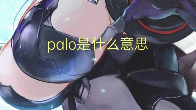 palo是什么意思 palo的读音、翻译、用法