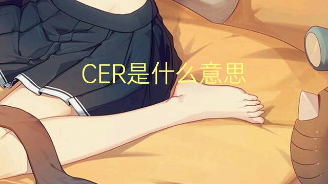 CER是什么意思 CER的读音、翻译、用法