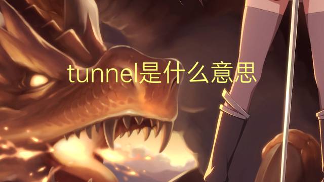 tunnel是什么意思 tunnel的读音、翻译、用法