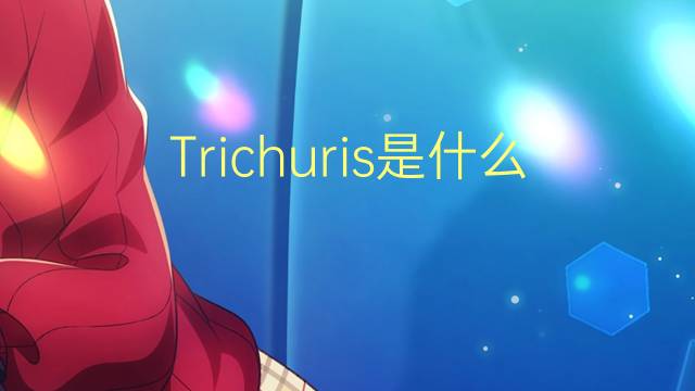 Trichuris是什么意思 Trichuris的读音、翻译、用法