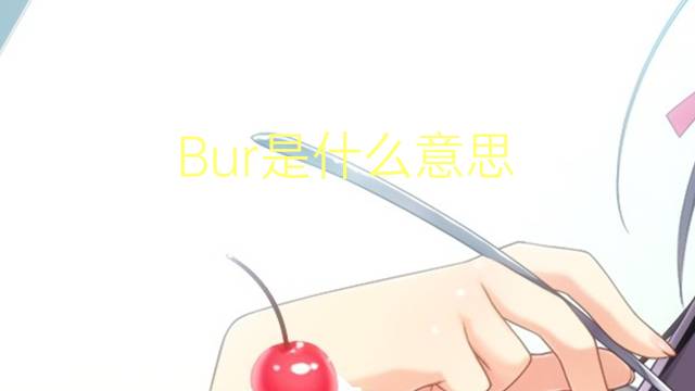 Bur是什么意思 Bur的读音、翻译、用法