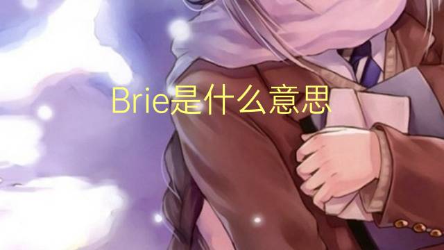 Brie是什么意思 Brie的读音、翻译、用法