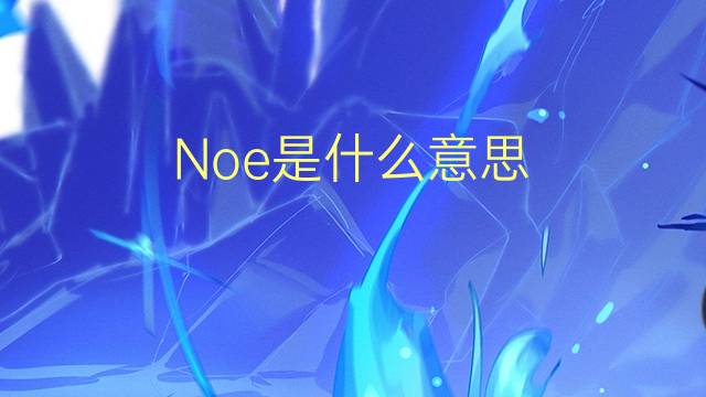 Noe是什么意思 Noe的读音、翻译、用法