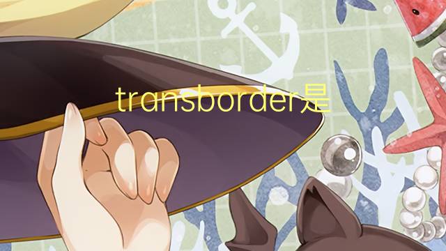 transborder是什么意思 transborder的读音、翻译、用法