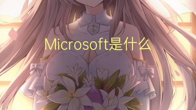 Microsoft是什么意思 Microsoft的读音、翻译、用法